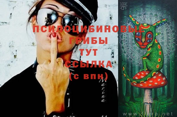 молекула духа Зерноград